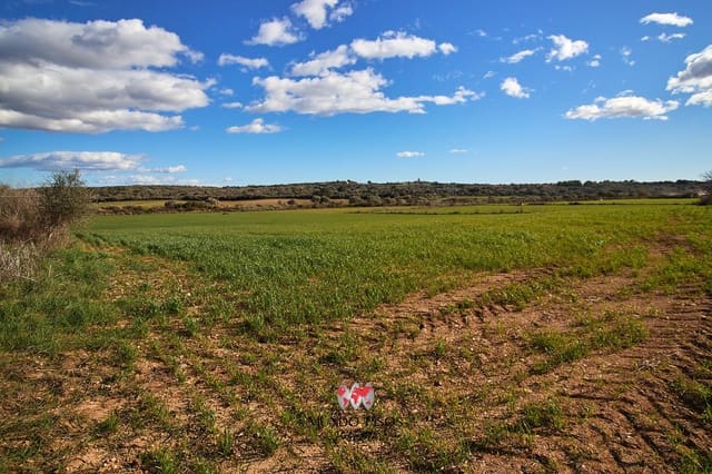 Grond te koop in María de la Salud / María de la Salut - € 319.000 (Ref: 8107420)