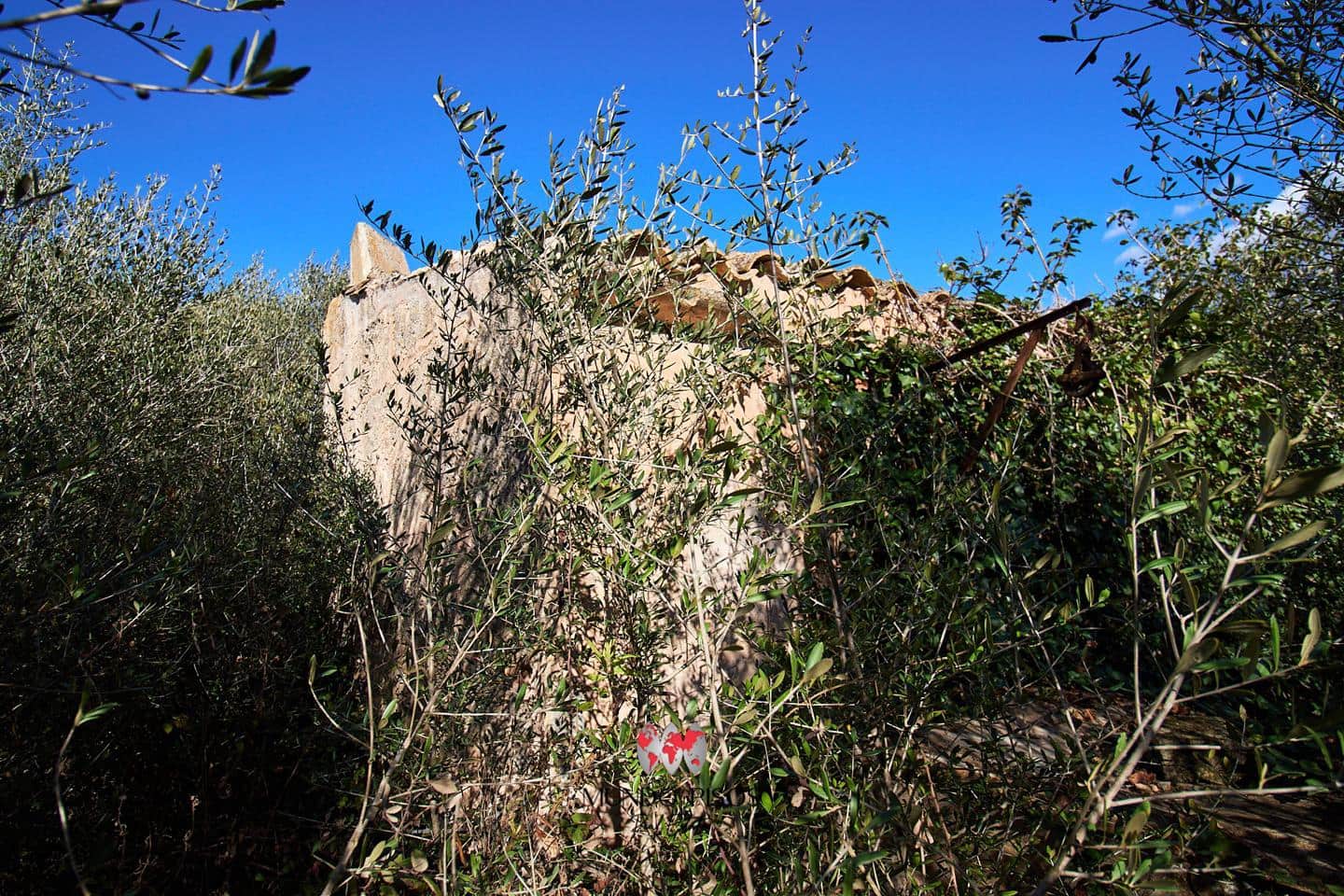 Grunde uden byggetilladelser til salg i Maria de la Salud / Maria de la Salut - € 319.000 (Ref: 8107420)