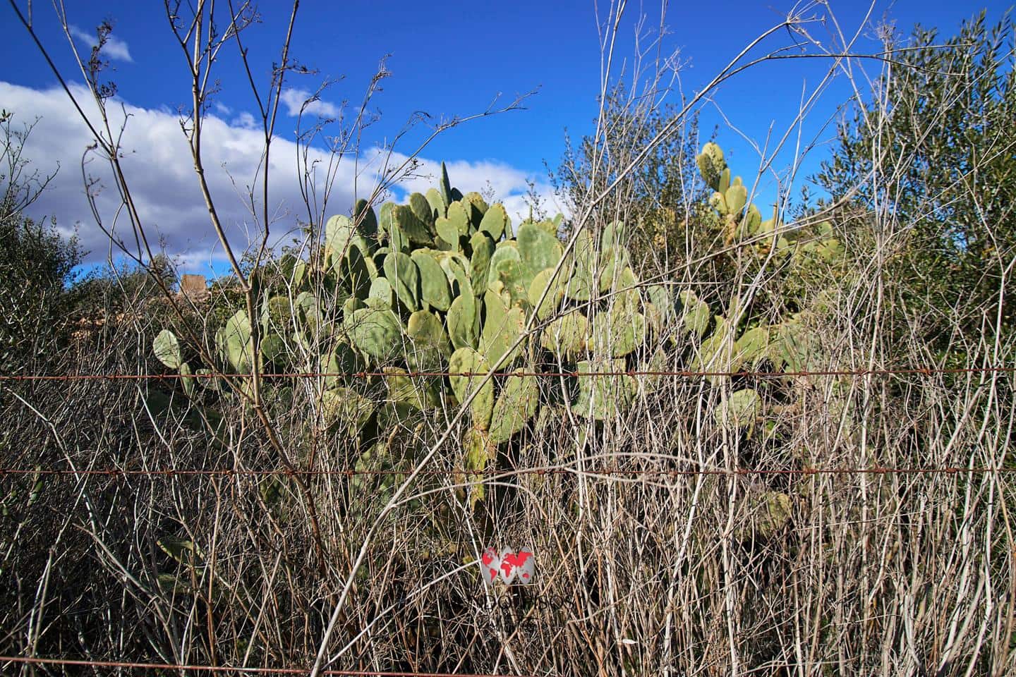 Grunde uden byggetilladelser til salg i Maria de la Salud / Maria de la Salut - € 319.000 (Ref: 8107420)
