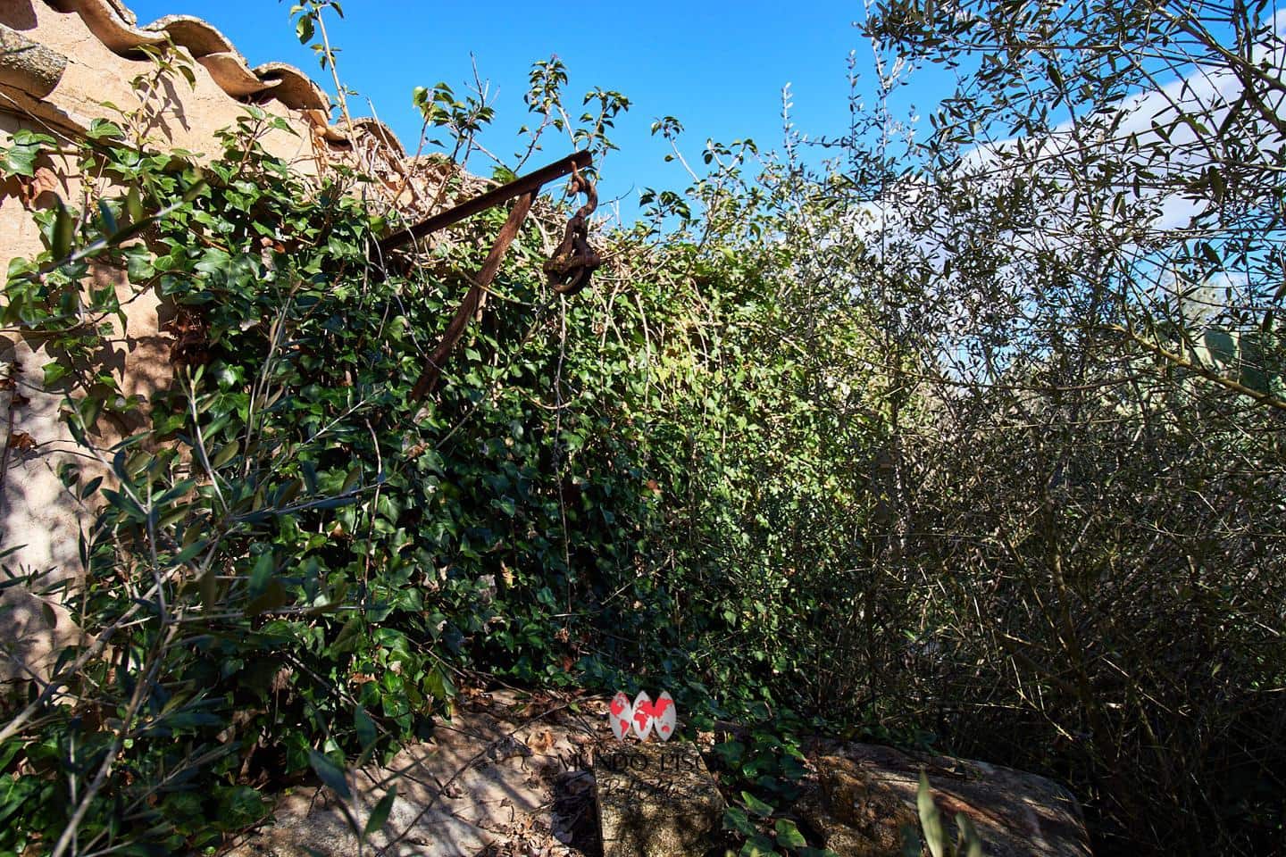 Grunde uden byggetilladelser til salg i Maria de la Salud / Maria de la Salut - € 319.000 (Ref: 8107420)