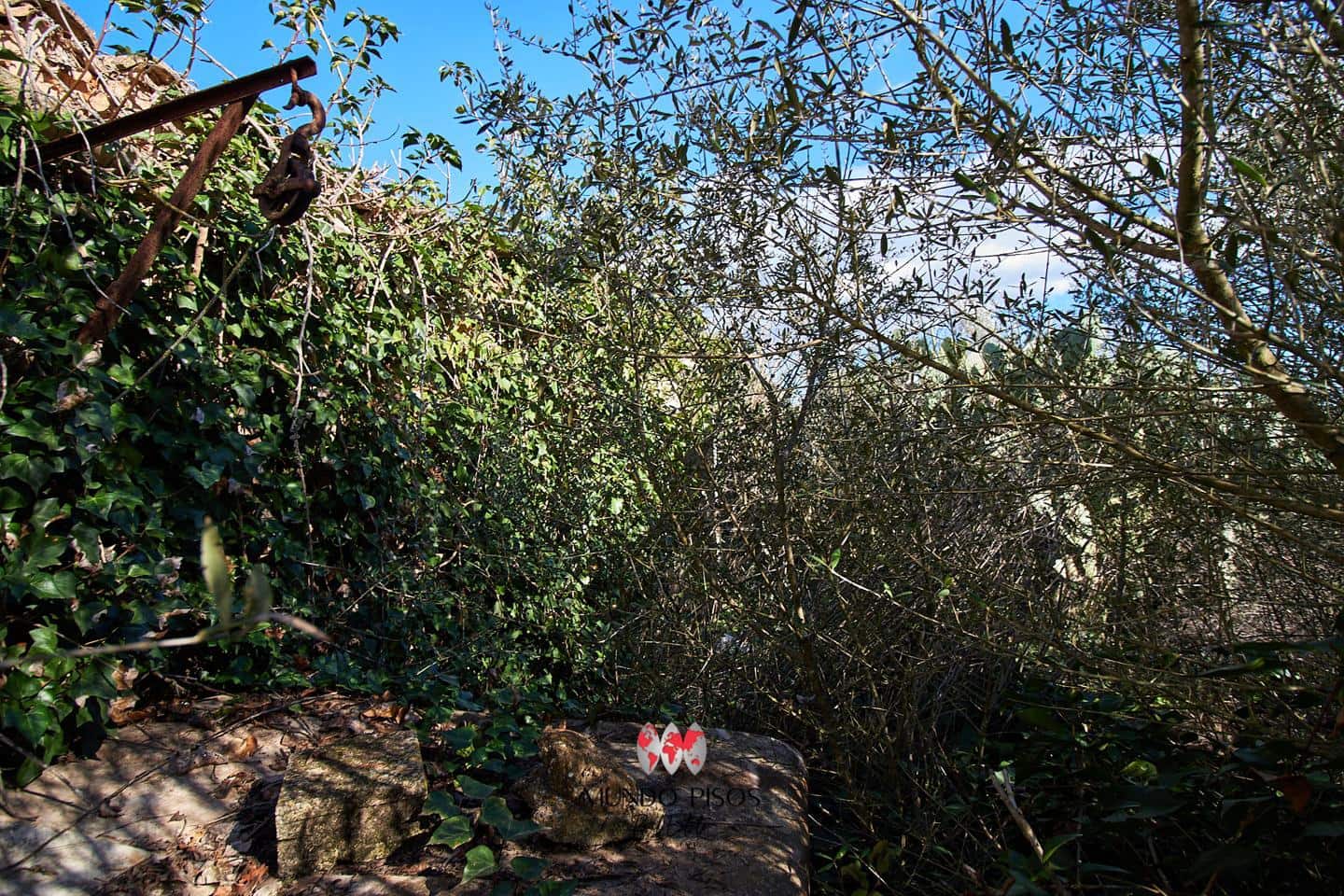 Grunde uden byggetilladelser til salg i Maria de la Salud / Maria de la Salut - € 319.000 (Ref: 8107420)