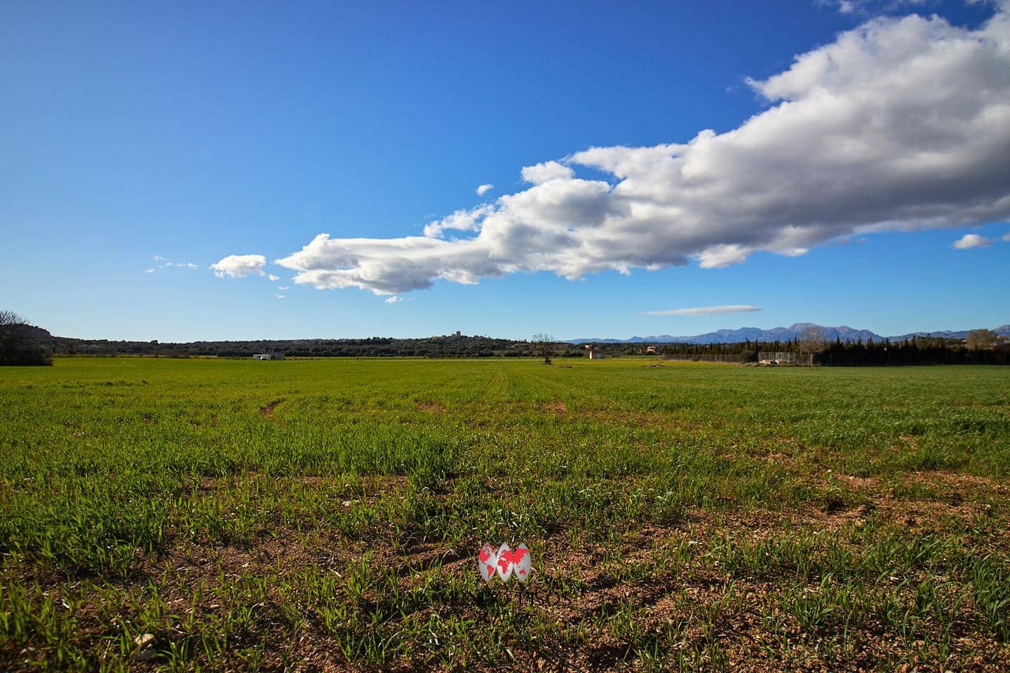 Grunde uden byggetilladelser til salg i Maria de la Salud / Maria de la Salut - € 319.000 (Ref: 8107420)