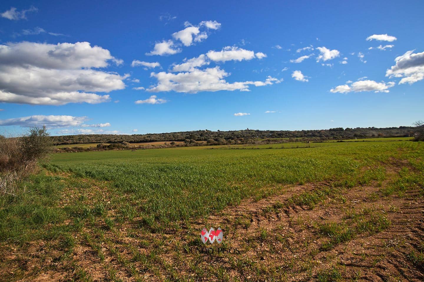 Grunde uden byggetilladelser til salg i Maria de la Salud / Maria de la Salut - € 319.000 (Ref: 8107420)