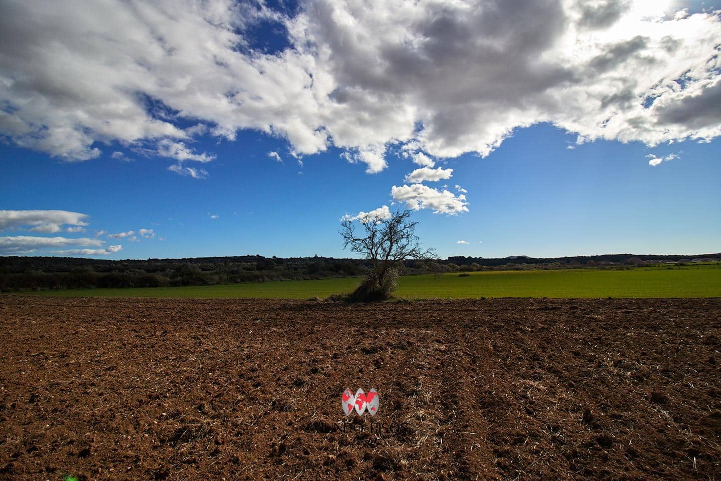 Grunde uden byggetilladelser til salg i Maria de la Salud / Maria de la Salut - € 319.000 (Ref: 8107420)