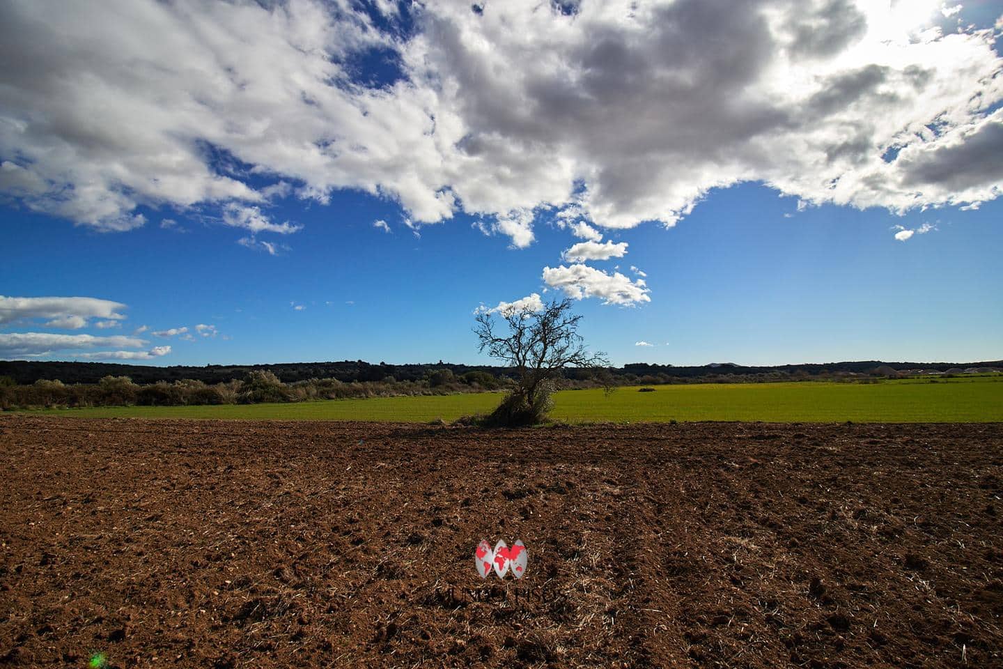 Grunde uden byggetilladelser til salg i Maria de la Salud / Maria de la Salut - € 319.000 (Ref: 8107420)