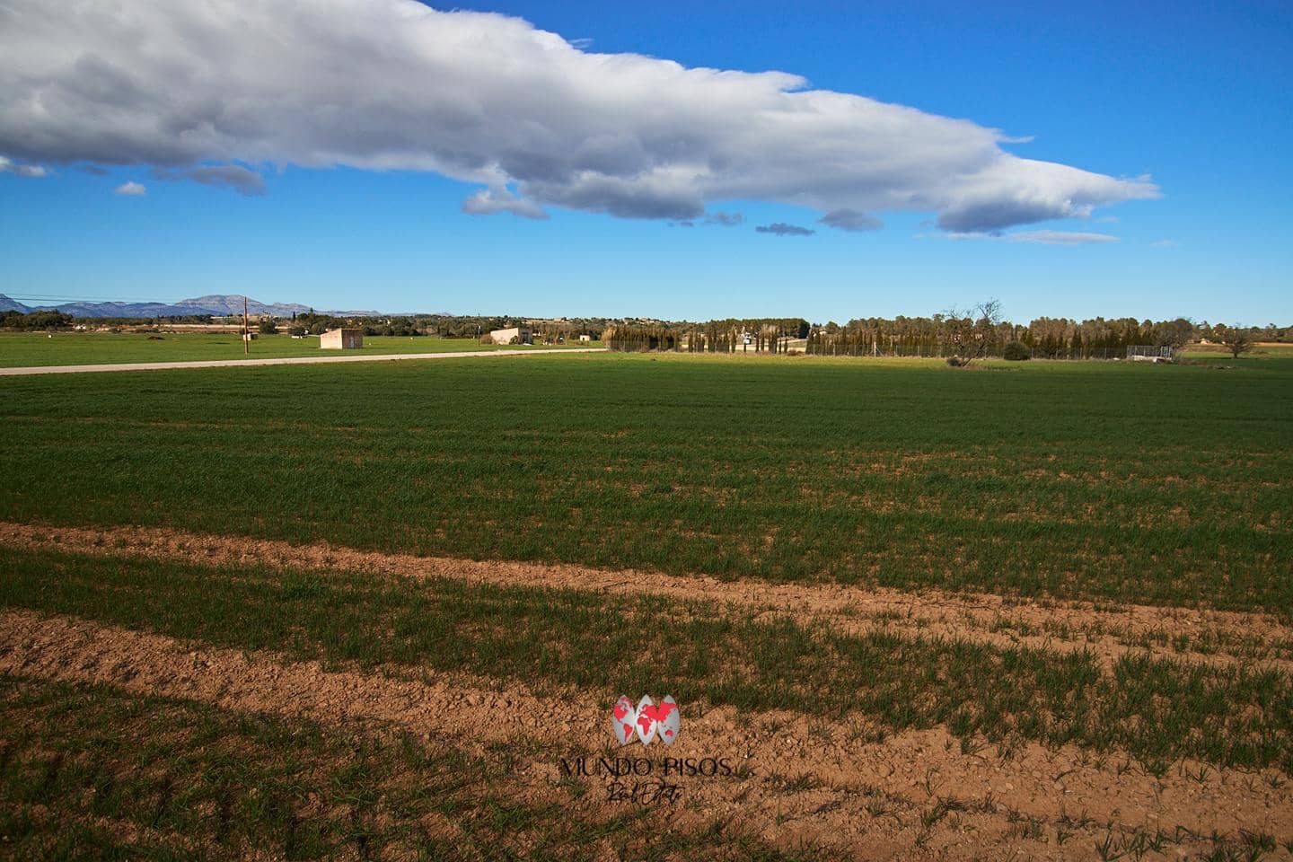 Grunde uden byggetilladelser til salg i Maria de la Salud / Maria de la Salut - € 319.000 (Ref: 8107420)