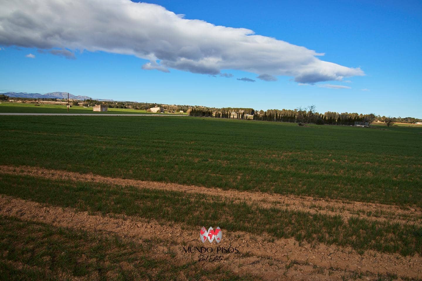 Grunde uden byggetilladelser til salg i Maria de la Salud / Maria de la Salut - € 319.000 (Ref: 8107420)