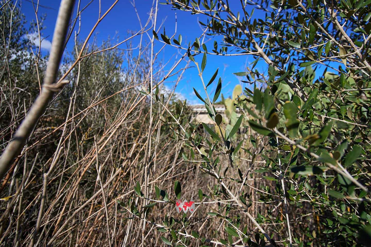 Grunde uden byggetilladelser til salg i Maria de la Salud / Maria de la Salut - € 319.000 (Ref: 8107420)