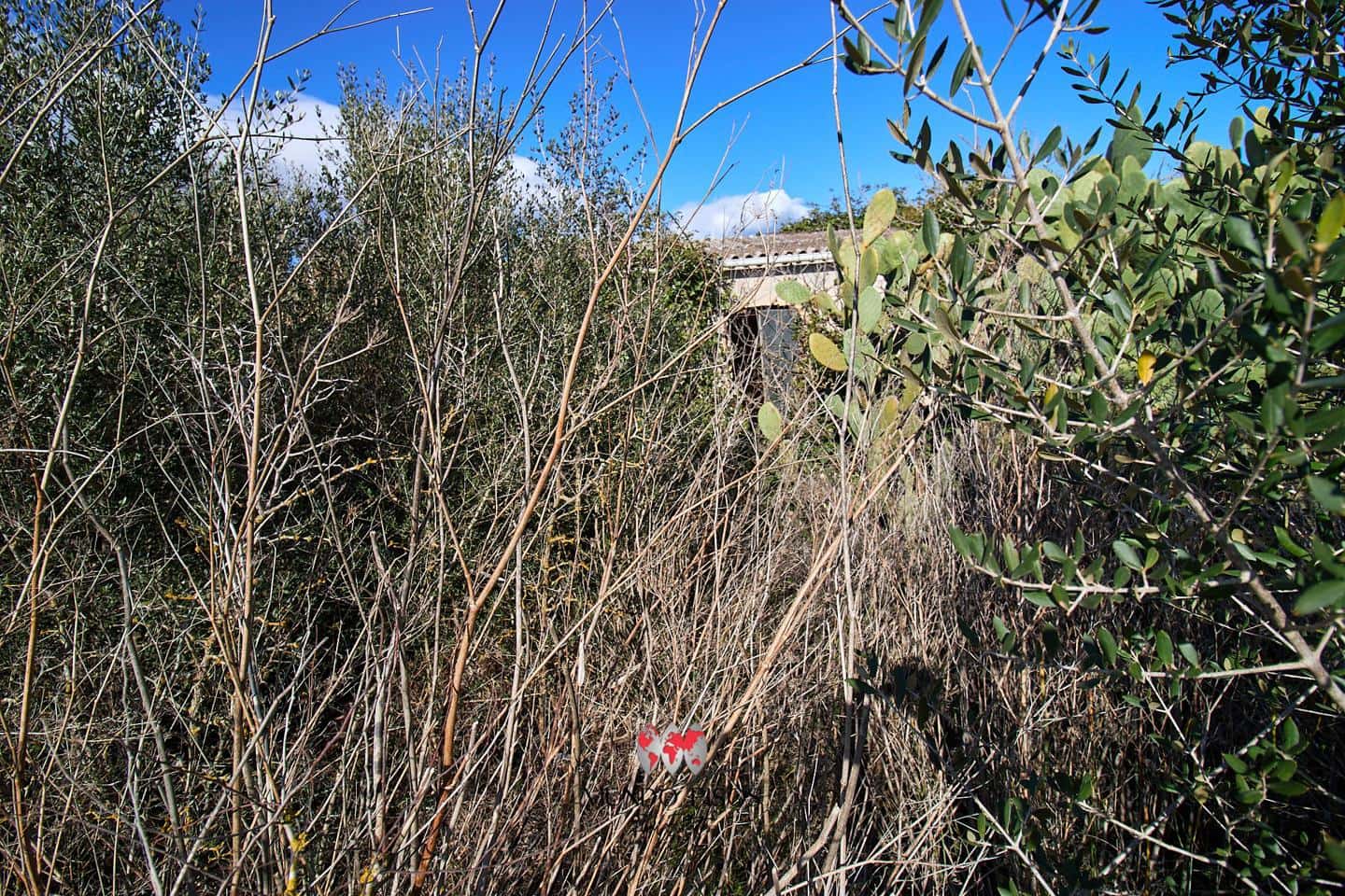 Grunde uden byggetilladelser til salg i Maria de la Salud / Maria de la Salut - € 319.000 (Ref: 8107420)