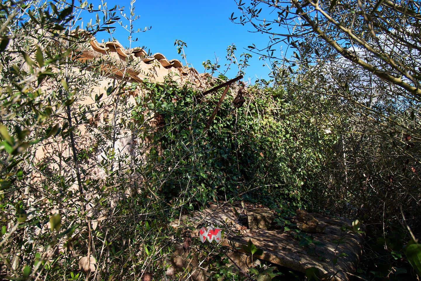 Grunde uden byggetilladelser til salg i Maria de la Salud / Maria de la Salut - € 319.000 (Ref: 8107420)