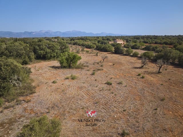 Mark till salu i Algaida - 269 000 € (Ref: 8465477)