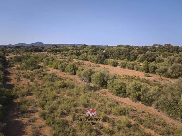 Mark till salu i Algaida - 269 000 € (Ref: 8465477)