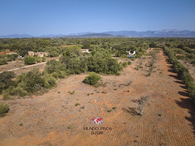 Mark till salu i Algaida - 269 000 € (Ref: 8465477)