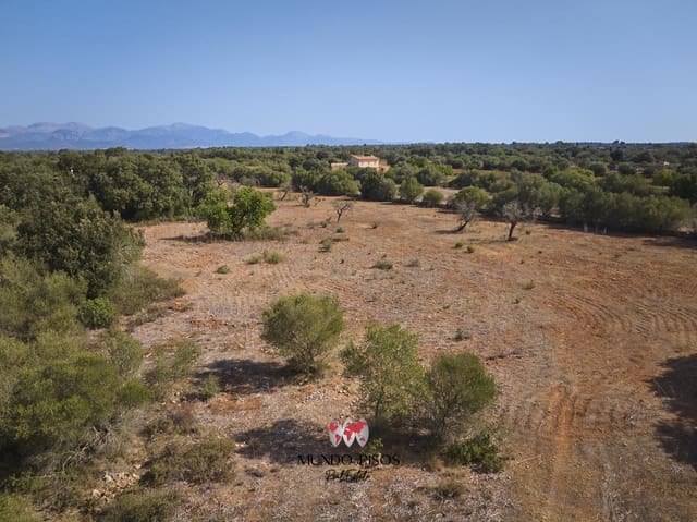 Mark till salu i Algaida - 269 000 € (Ref: 8465477)