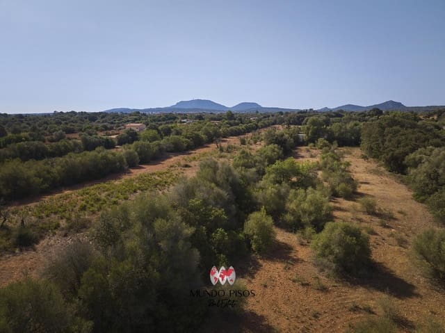 Mark till salu i Algaida - 269 000 € (Ref: 8465477)