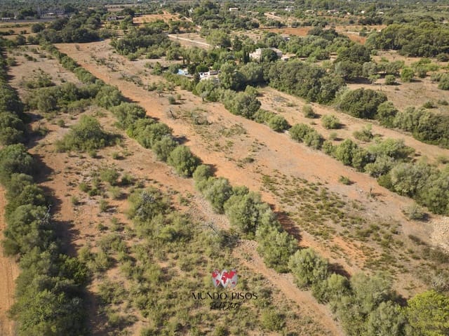 Mark till salu i Algaida - 269 000 € (Ref: 8465477)