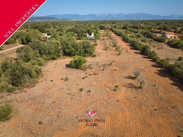 Terreno Não Urbanizado para venda em Algaida - 269 000 € (Ref: 8465477)