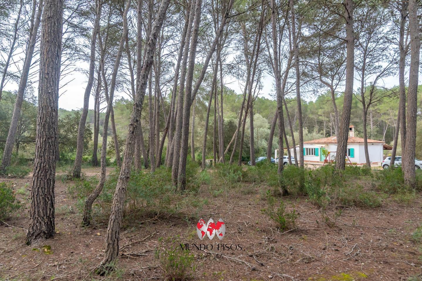 2 makuuhuone Maalaistalo myytävänä paikassa Algaida mukana uima-altaan 
autotalli - 479 000 € (Ref: 8881145)