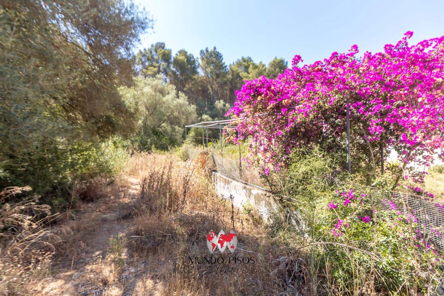 2 makuuhuone Maalaistalo myytävänä paikassa Algaida mukana uima-altaan 
autotalli - 479 000 € (Ref: 8881145)