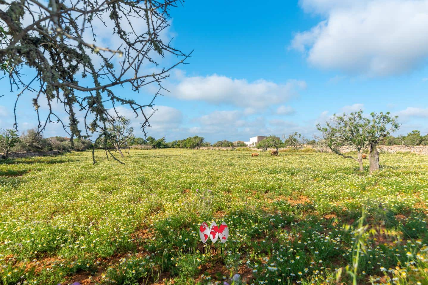 5 soveværelse Finca/Landehus til salg i Cala Llombards med garage - € 1.500.000 (Ref: 8988857)