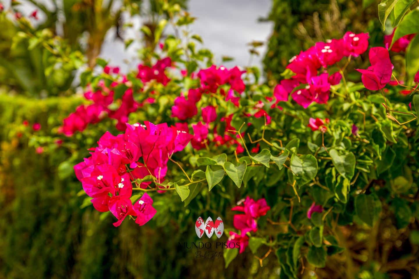 2 camera da letto Appartamento in vendita in Maioris Decima con piscina - 450.000 € (Rif: 9151025)