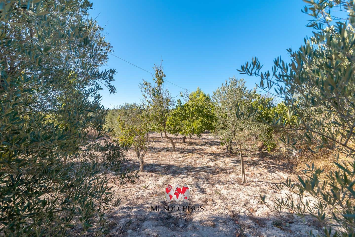 3 chambre Finca/Maison de Campagne à vendre à Montuiri avec piscine - 590 000 € (Ref: 9227726)