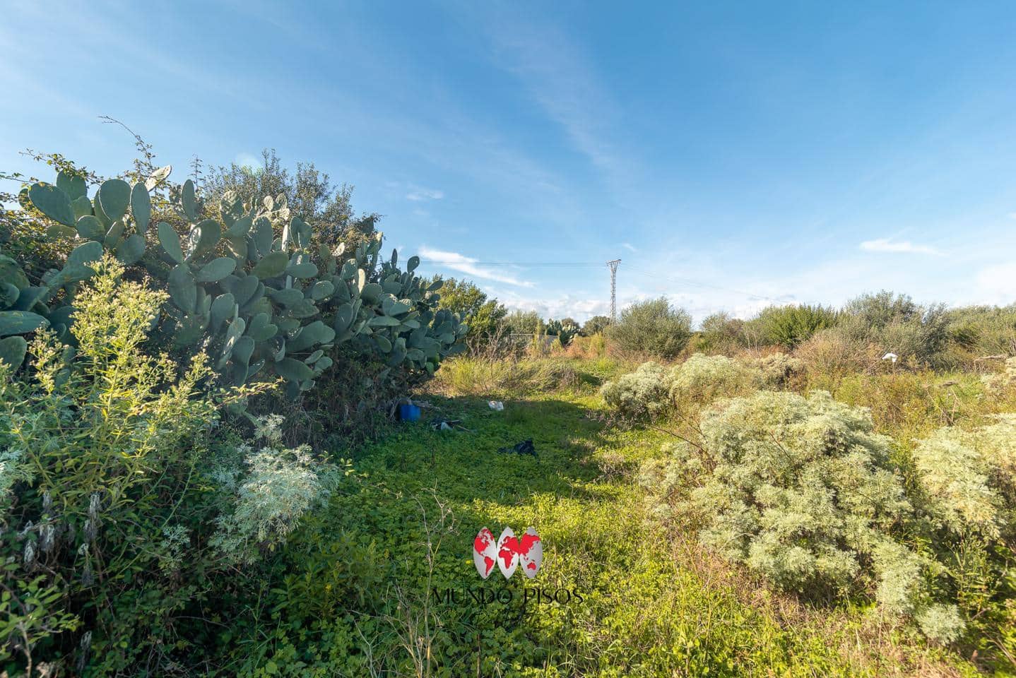 Finca/Maison de Campagne à vendre à Santa Margalida - 296 000 € (Ref: 9363173)