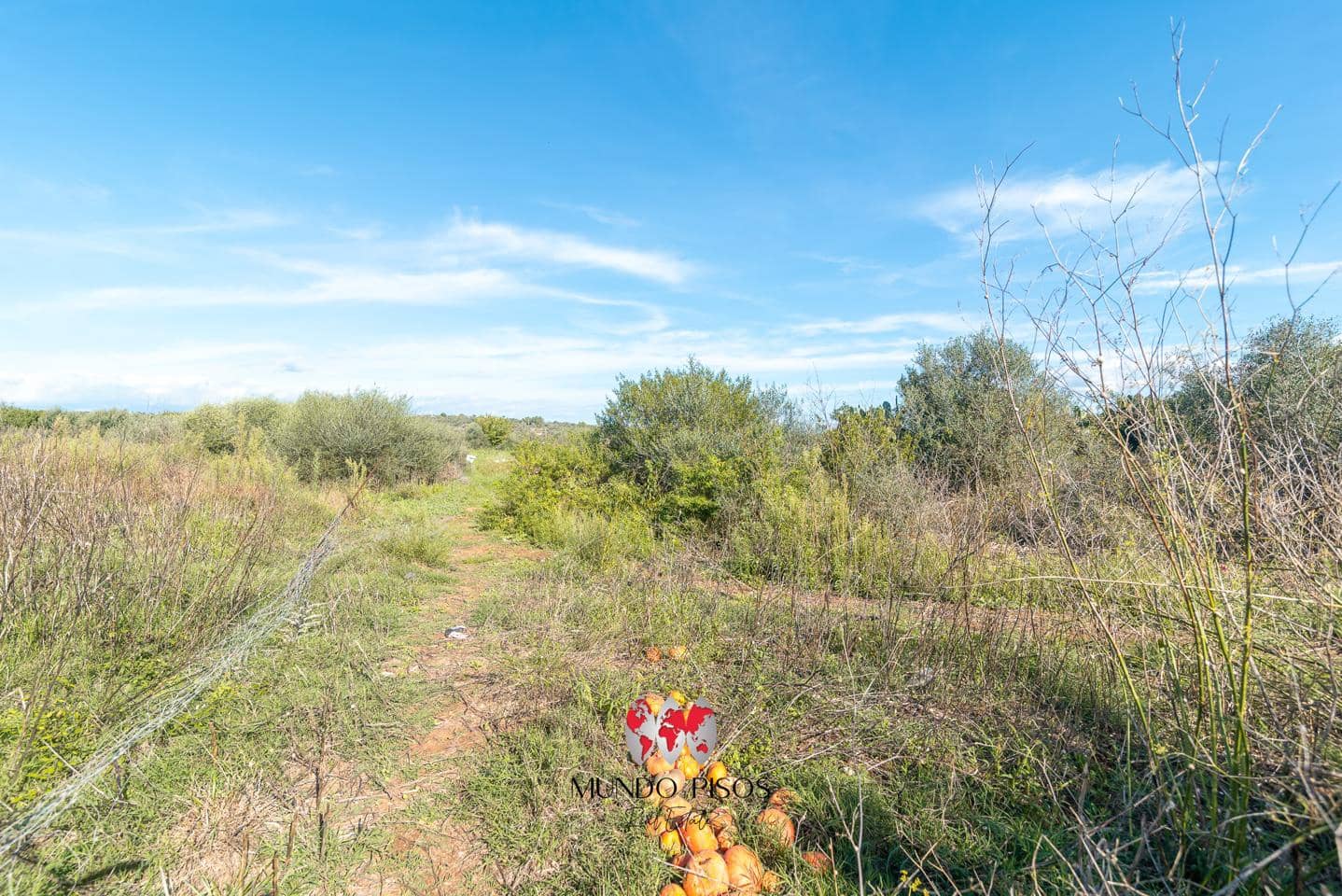 Finca/Maison de Campagne à vendre à Santa Margalida - 296 000 € (Ref: 9363173)