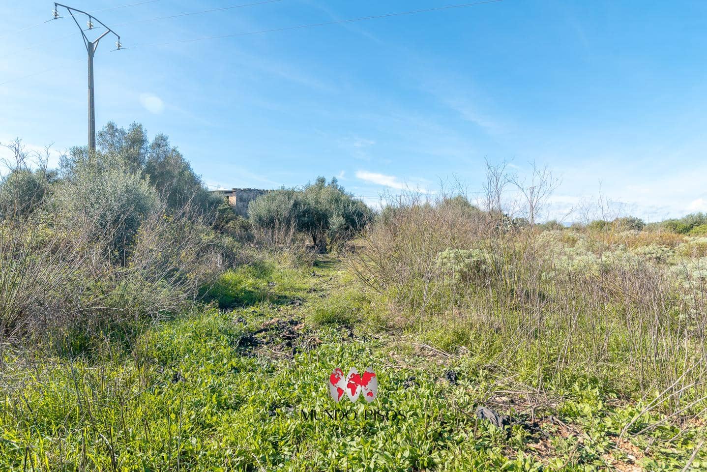 Finca/Maison de Campagne à vendre à Santa Margalida - 296 000 € (Ref: 9363173)