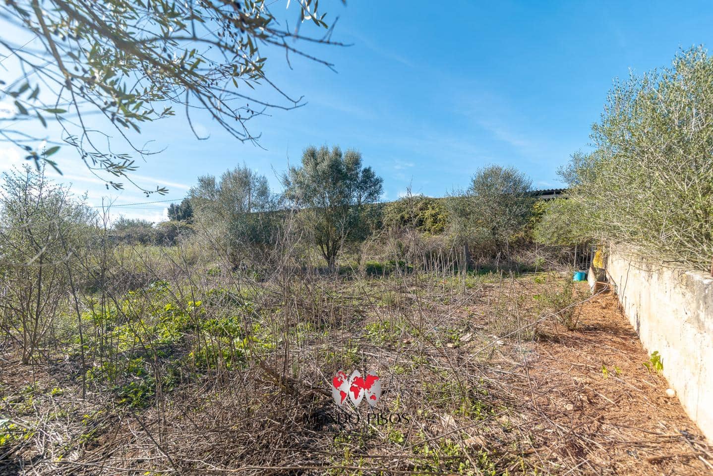 Finca/Maison de Campagne à vendre à Santa Margalida - 296 000 € (Ref: 9363173)