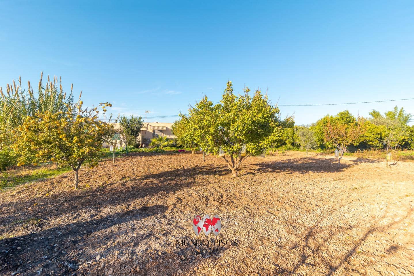 2 soverom Finca/Herregård til salgs i Son Ferriol med svømmebasseng garasje - € 530 000 (Ref: 9444693)