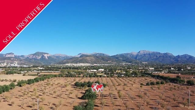 Terreno Non Edificato in vendita in Inca - 1.700.000 € (Rif: 9737180)