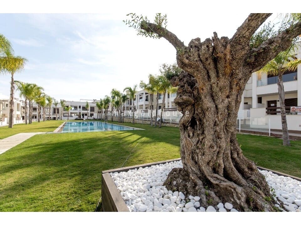 2 bedroom Apartment for sale in Los Balcones with pool - € 300,000 (Ref: 10034752)