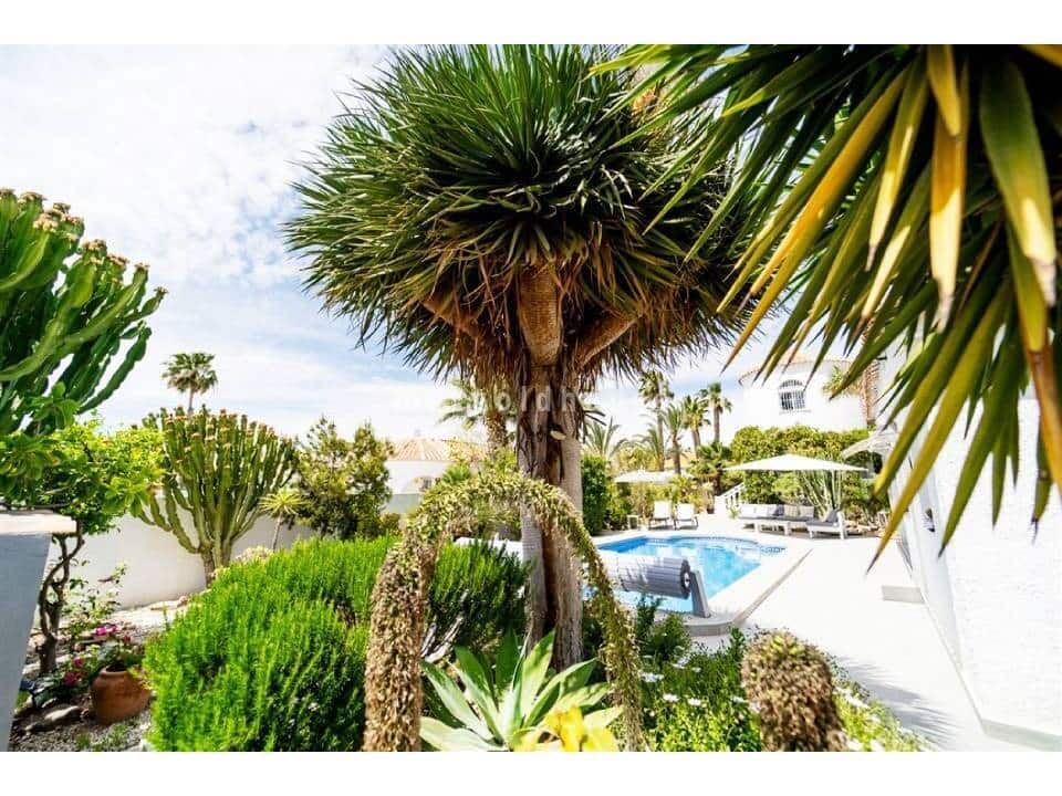 4 slaapkamer Villa te koop in La Siesta met zwembad - € 495.000 (Ref: 9524930)