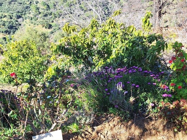 3 Zimmer Finca/Landgut zu verkaufen in Canillas de Albaida - 286.000 € (Ref: 9559850)