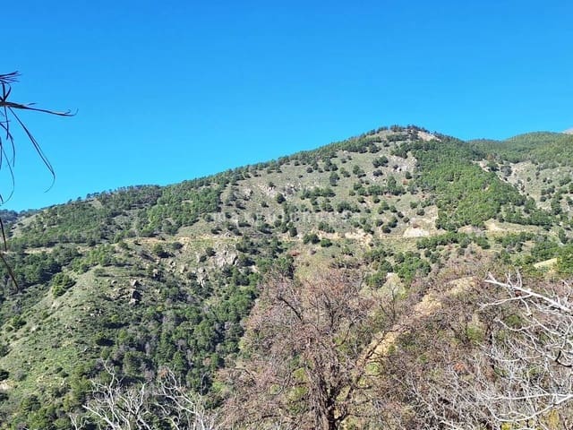 3 soveværelse Finca/Landehus til salg i Canillas de Albaida - € 286.000 (Ref: 9840742)