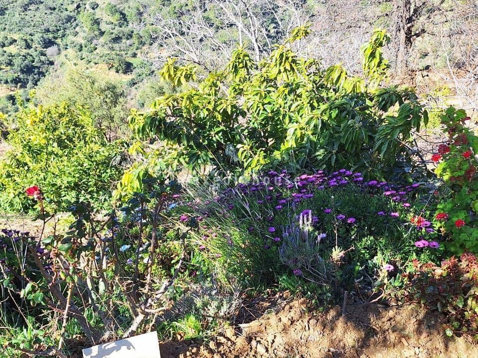 3 bedroom Finca/Country House for sale in Canillas de Albaida - € 286,000 (Ref: 9840742)