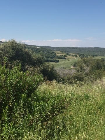 Tomt till salu i Sotogrande Alto, San Roque - 685 000 € (Ref: 9217271)