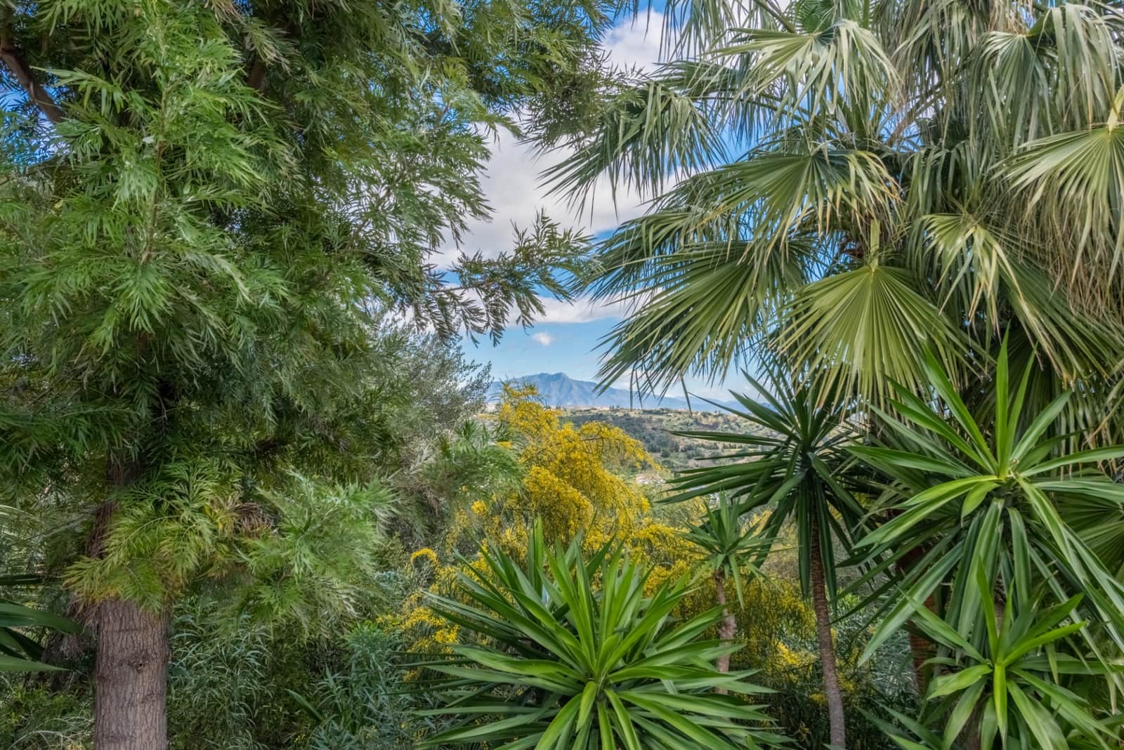 6 soveværelse Villa til salg i Estepona med swimmingpool garage - € 2.995.000 (Ref: 9219865)