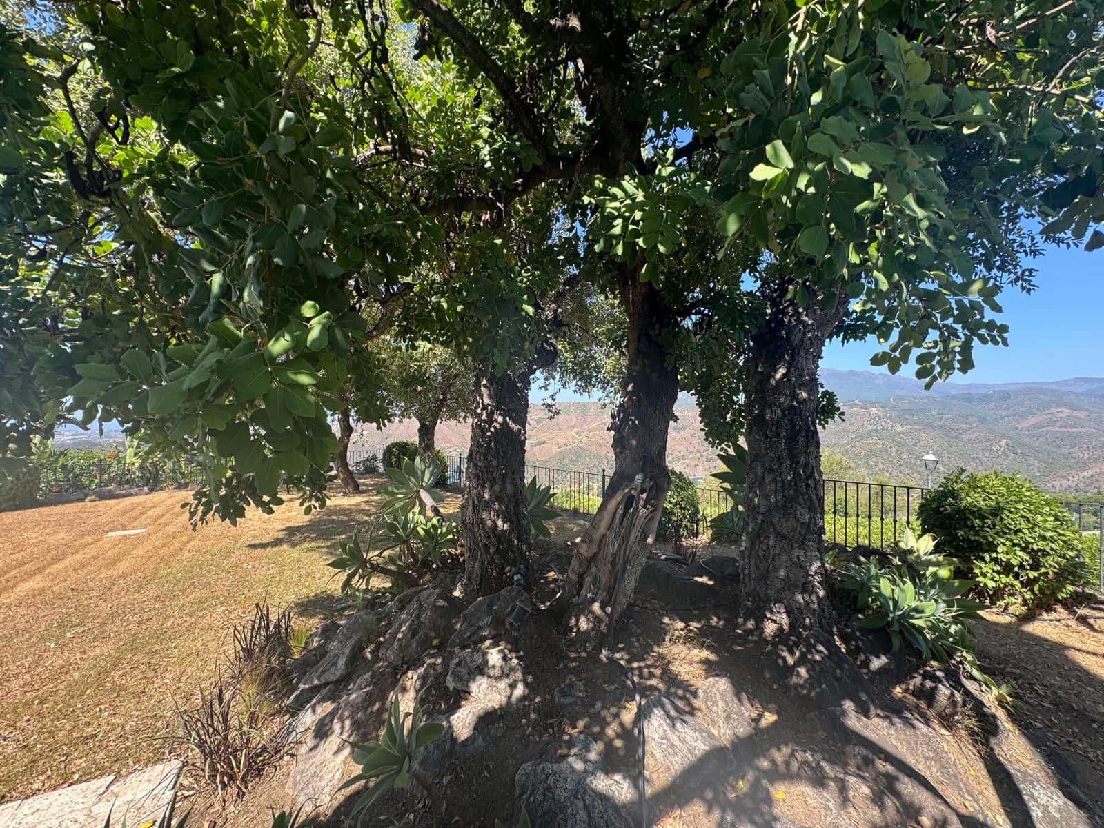 3 soverom Villa til salgs i Istan med svømmebasseng garasje - € 1 595 000 (Ref: 9219877)