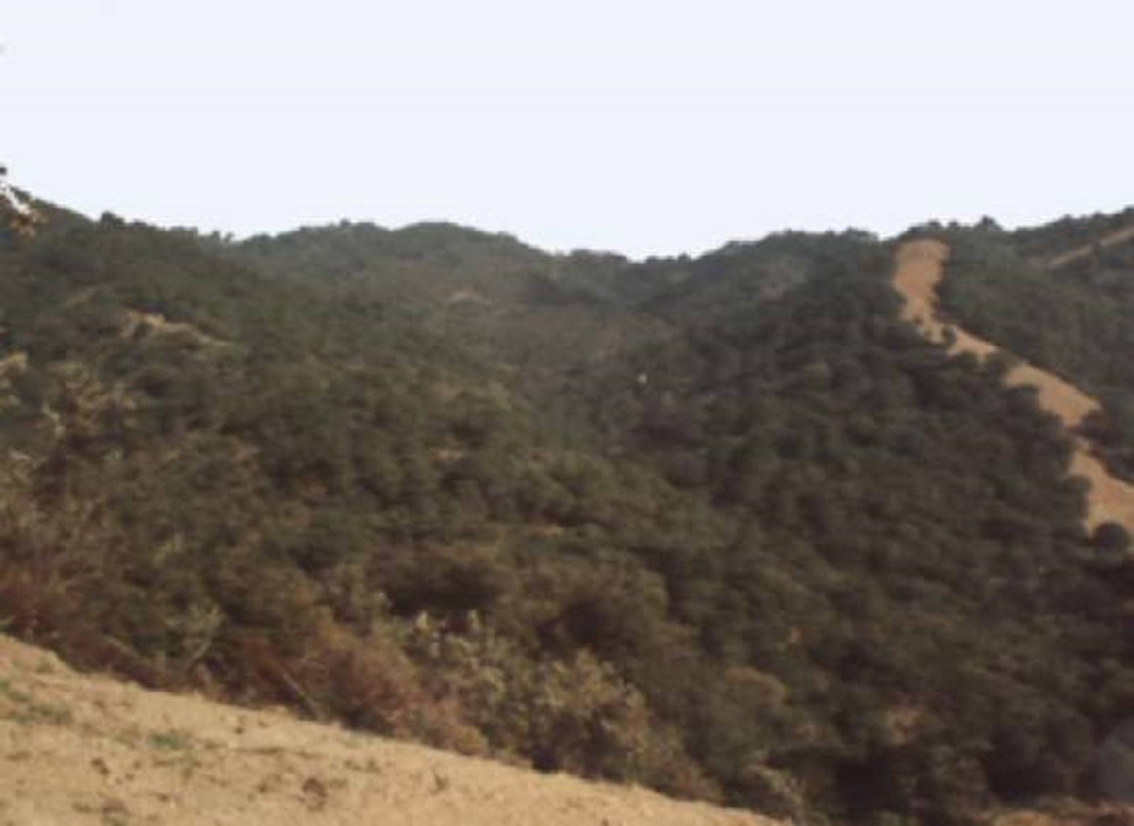 Tontti myytävänä paikassa El Velerin - 1 500 000 € (Ref: 9239810)