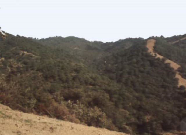 Byggetomt til salgs i El Velerín, Estepona - € 1 500 000 (Ref: 9239810)