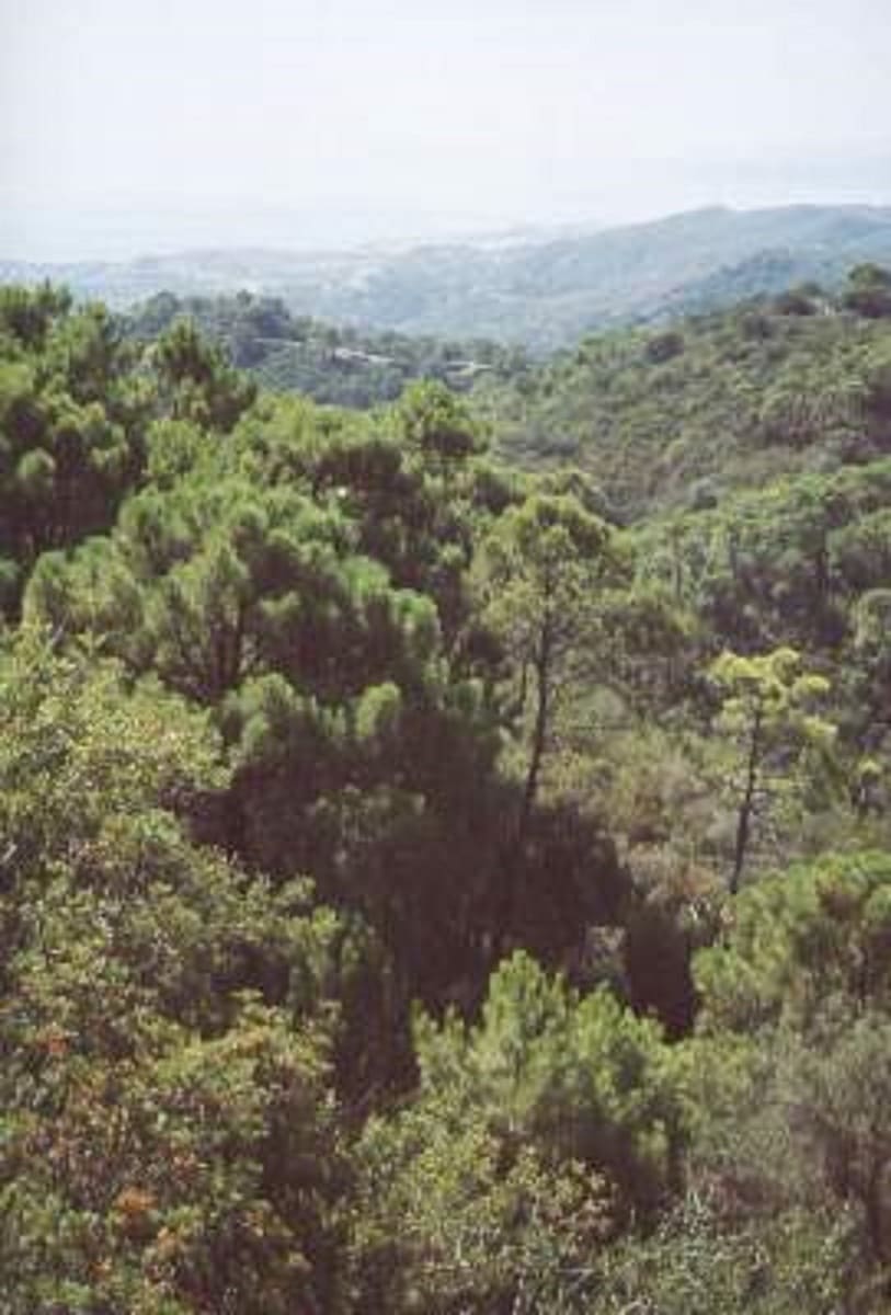 Tontti myytävänä paikassa El Velerin - 1 500 000 € (Ref: 9239810)