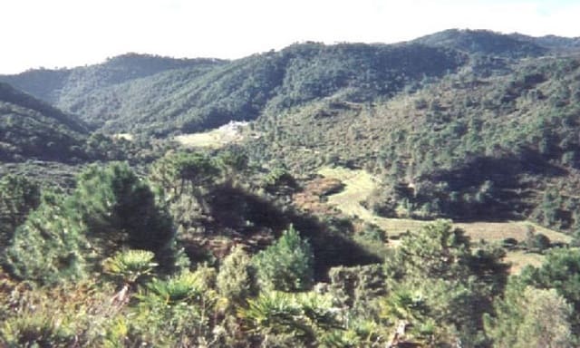 Byggetomt til salgs i El Velerín, Estepona - € 2 000 000 (Ref: 9239815)