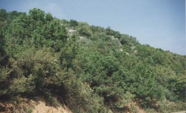 Bouwgrond te koop in El Velerín, Estepona - € 2.000.000 (Ref: 9239815)