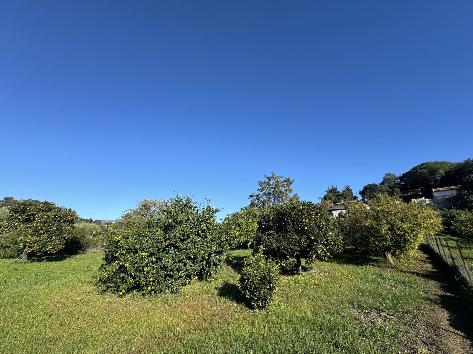 6 soveværelse Finca/Landehus til salg i Estepona med swimmingpool garage - € 725.000 (Ref: 9239816)