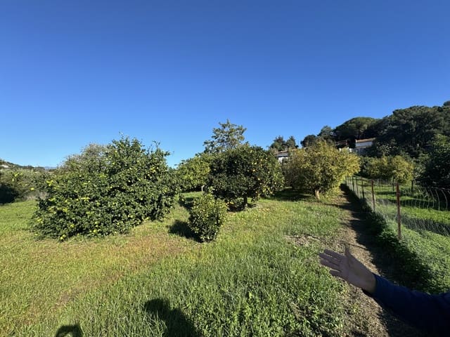 6 soverom Finca/Herregård til salgs i El Velerín, Estepona med svømmebasseng garasje - € 725 000 (Ref: 9239816)