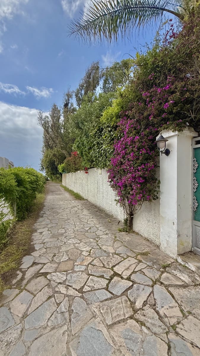 5 bedroom Villa for sale in Cancelada with pool garage - € 2,400,000 (Ref: 9822429)