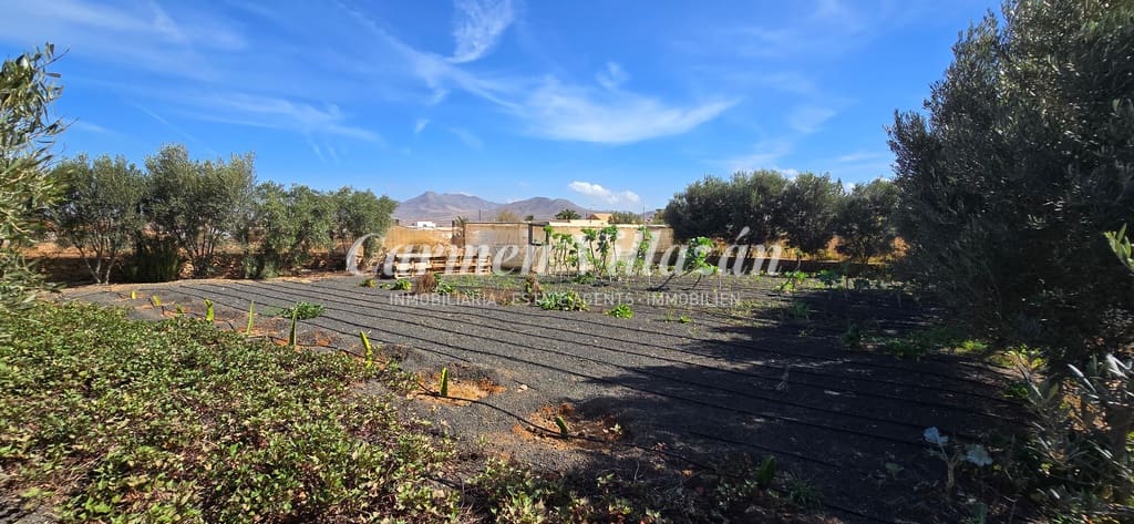 3 sovrum Villa till salu i Llanos de la Concepcion - 650 000 € (Ref: 8796219)