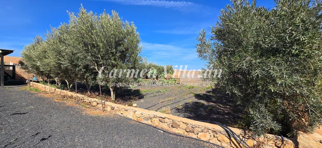 3 sovrum Villa till salu i Llanos de la Concepcion - 650 000 € (Ref: 8796219)